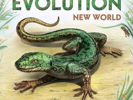 Evolution: New World Fashion