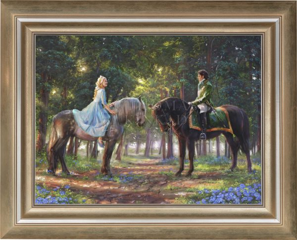 Disney Romance Awakens - Jewel Edition Art Cheap