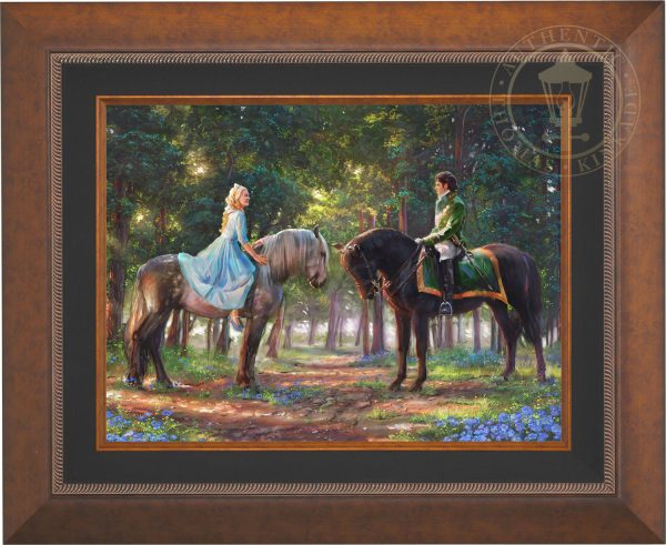 Disney Romance Awakens - Jewel Edition Art Cheap